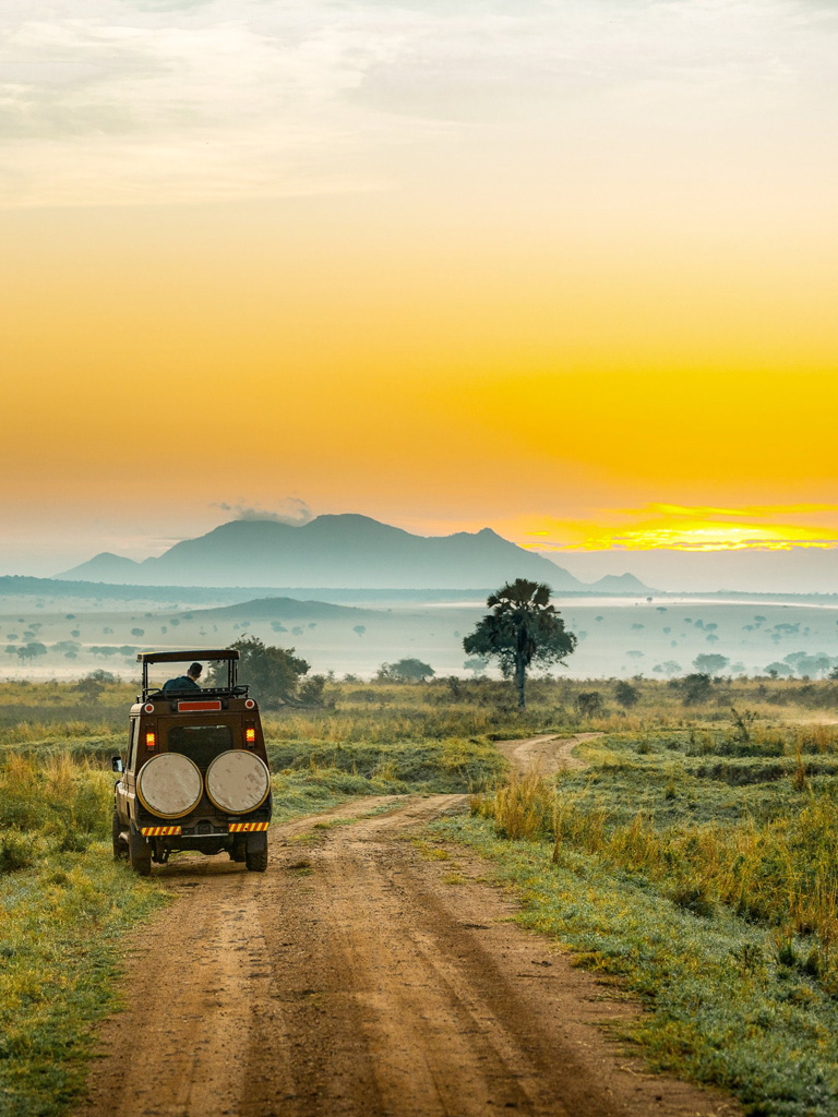 game-viewing-adventure-tour